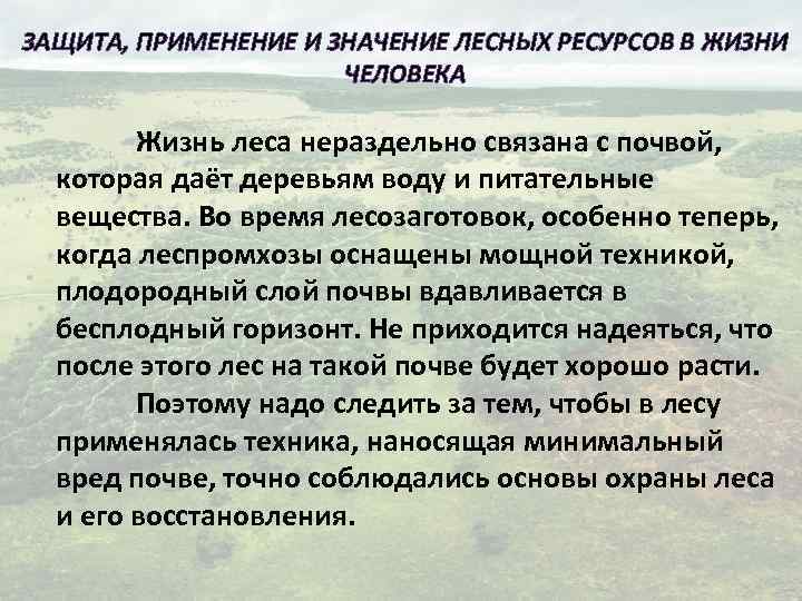 ЗАЩИТА, ПРИМЕНЕНИЕ И ЗНАЧЕНИЕ ЛЕСНЫХ РЕСУРСОВ В ЖИЗНИ ЧЕЛОВЕКА Жизнь леса нераздельно связана с