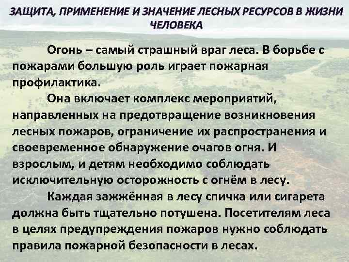 ЗАЩИТА, ПРИМЕНЕНИЕ И ЗНАЧЕНИЕ ЛЕСНЫХ РЕСУРСОВ В ЖИЗНИ ЧЕЛОВЕКА Огонь – самый страшный враг