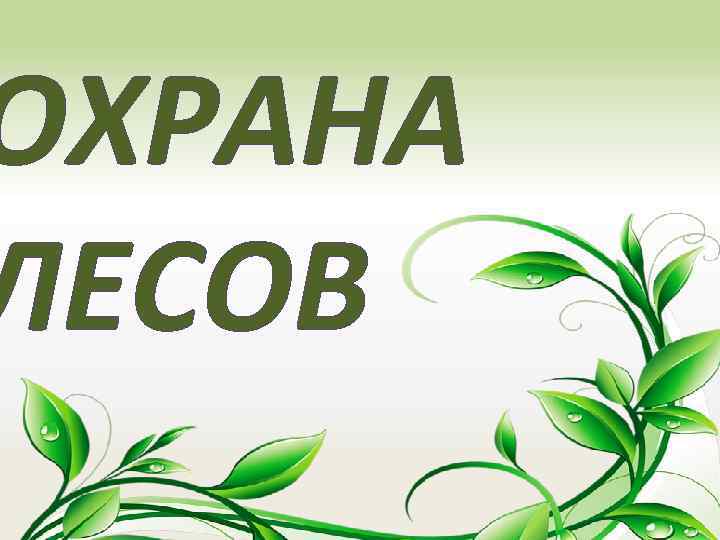 ОХРАНА ЛЕСОВ 
