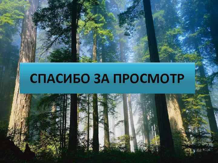 СПАСИБО ЗА ПРОСМОТР 