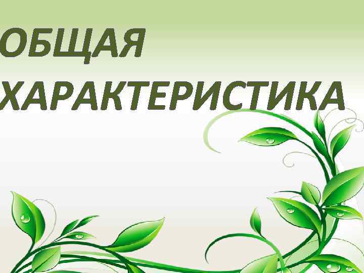 ОБЩАЯ ХАРАКТЕРИСТИКА 