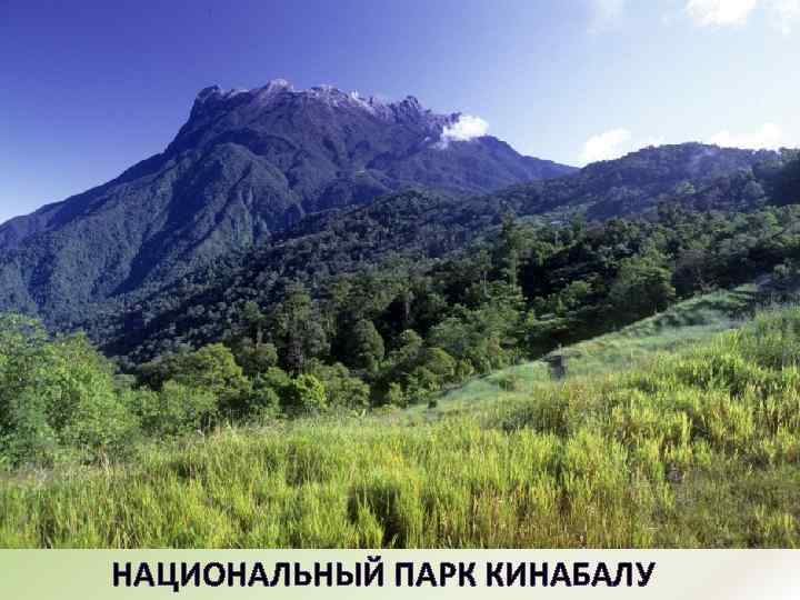 НАЦИОНАЛЬНЫЙ ПАРК КИНАБАЛУ 