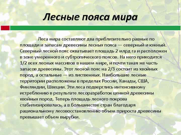 Лесные пояса мира Леса мира составляют два приблизительно равные по площади и запасам древесины