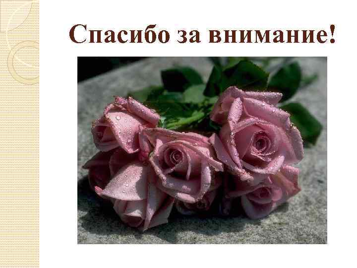 Спасибо за внимание! 