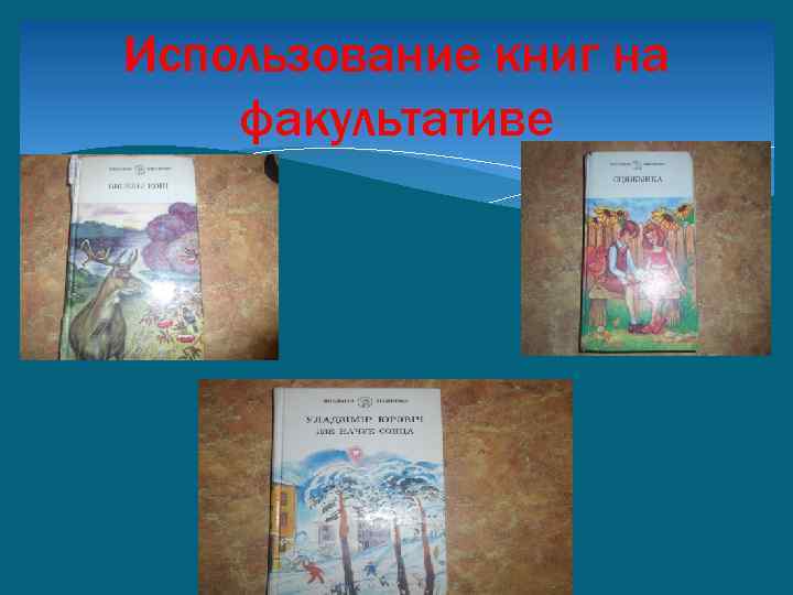 Использование книг на факультативе 