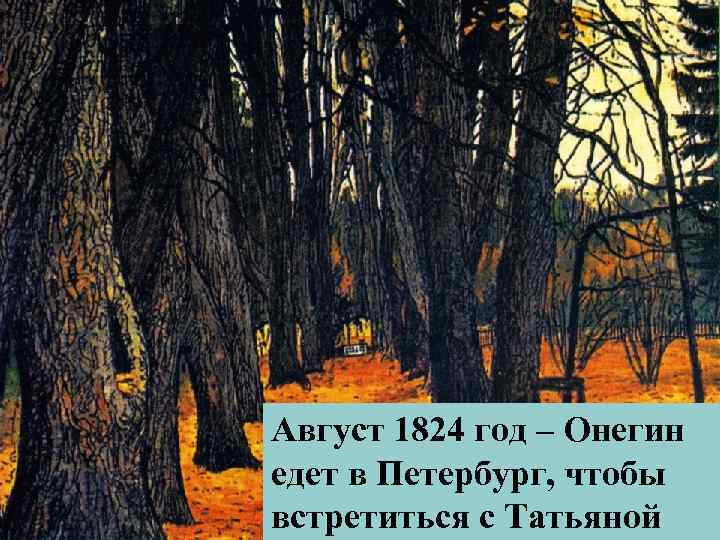 Август 1824 год – Онегин едет в Петербург, чтобы встретиться с Татьяной 