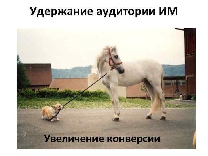 Удержание аудитории ИМ Увеличение конверсии 