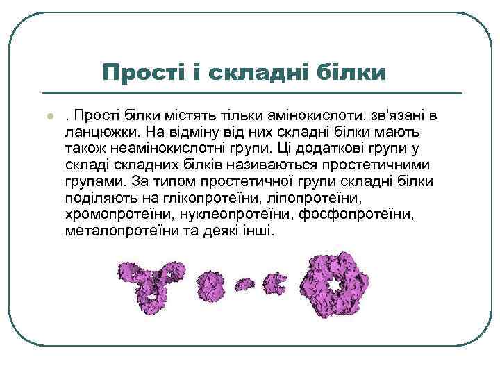 Прості і складні білки l . Прості білки містять тільки амінокислоти, зв'язані в ланцюжки.