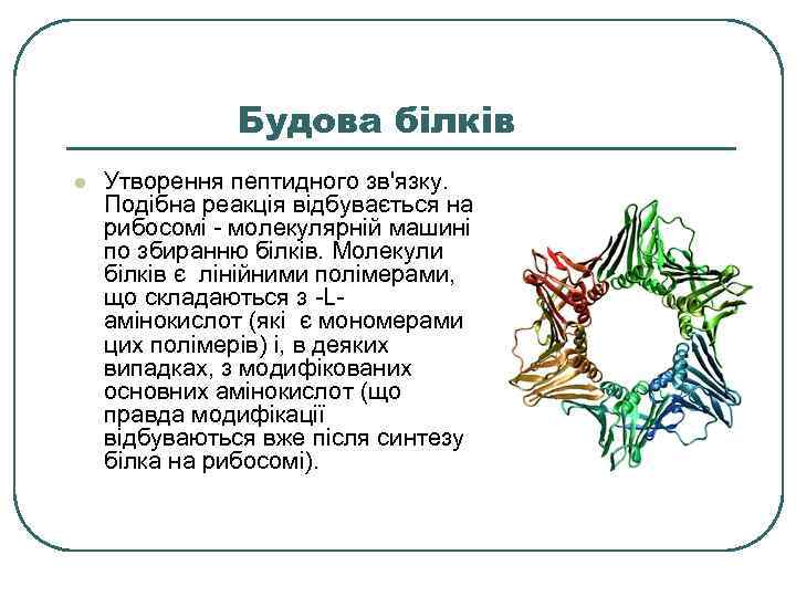 Будова білків l Утворення пептидного зв'язку. Подібна реакція відбувається на рибосомі - молекулярній машині