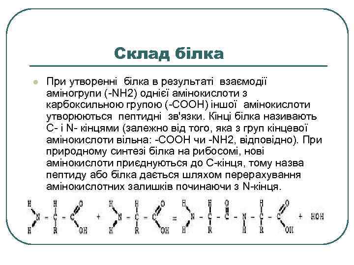 Склад білка l При утворенні білка в результаті взаємодії аміногрупи (-NH 2) однієї амінокислоти