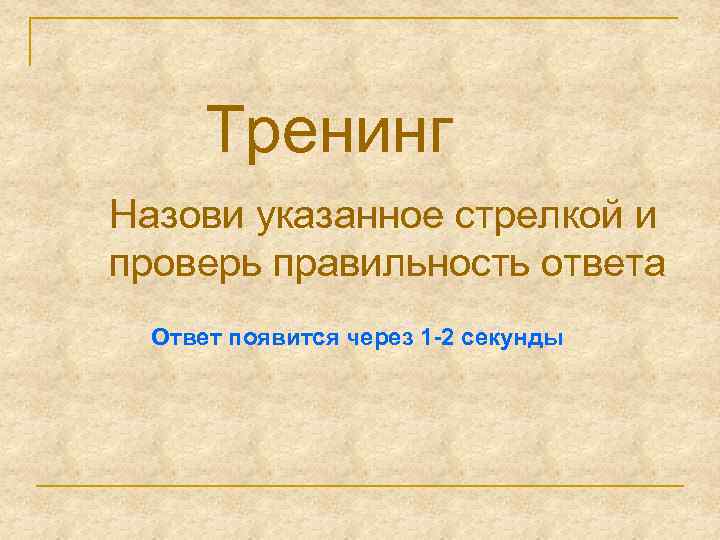 Тренинг Назови указанное стрелкой и проверь правильность ответа Ответ появится через 1 -2 секунды