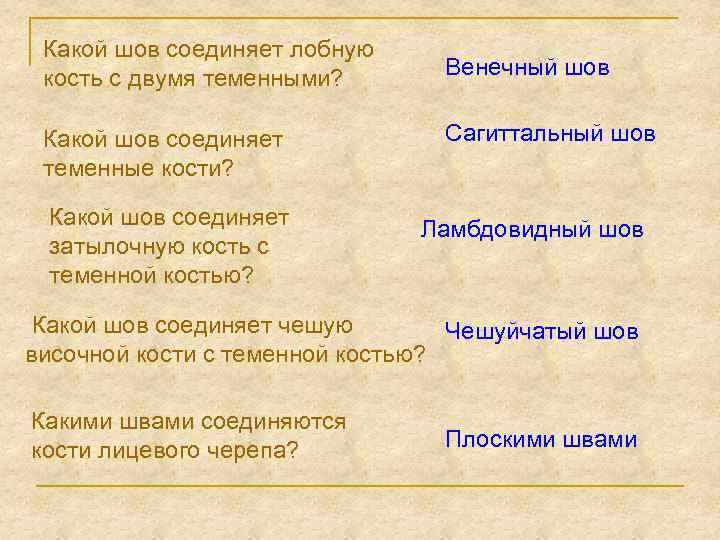 Какой шов соединяет лобную кость с двумя теменными? Какой шов соединяет теменные кости? Какой