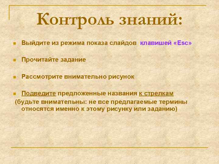 Контроль знаний: n Выйдите из режима показа слайдов клавишей «Esc» n Прочитайте задание n