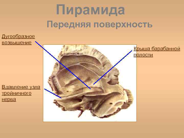 Геморрой тромбоз наружного узла фото