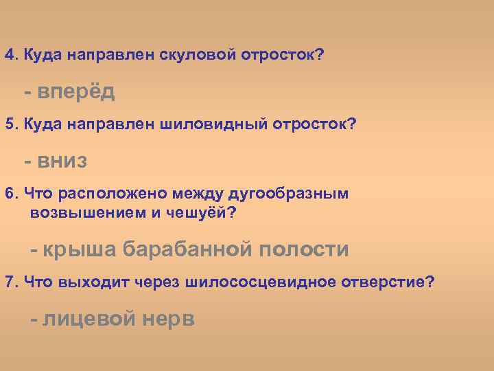 4. Куда направлен скуловой отросток? - вперёд 5. Куда направлен шиловидный отросток? - вниз