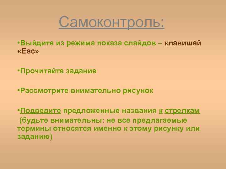 Самоконтроль: • Выйдите из режима показа слайдов – клавишей «Esc» • Прочитайте задание •