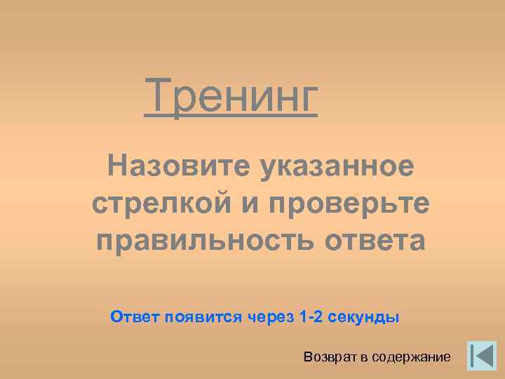 Тренинг Назовите указанное стрелкой и проверьте правильность ответа Ответ появится через 1 -2 секунды