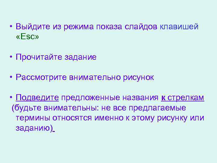  • Выйдите из режима показа слайдов клавишей «Esc» • Прочитайте задание • Рассмотрите