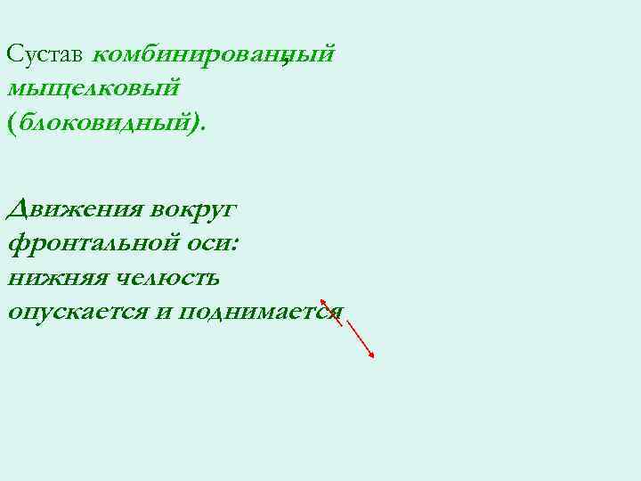 Сустав комбинированный , мыщелковый (блоковидный). Движения вокруг фронтальной оси: нижняя челюсть опускается и поднимается