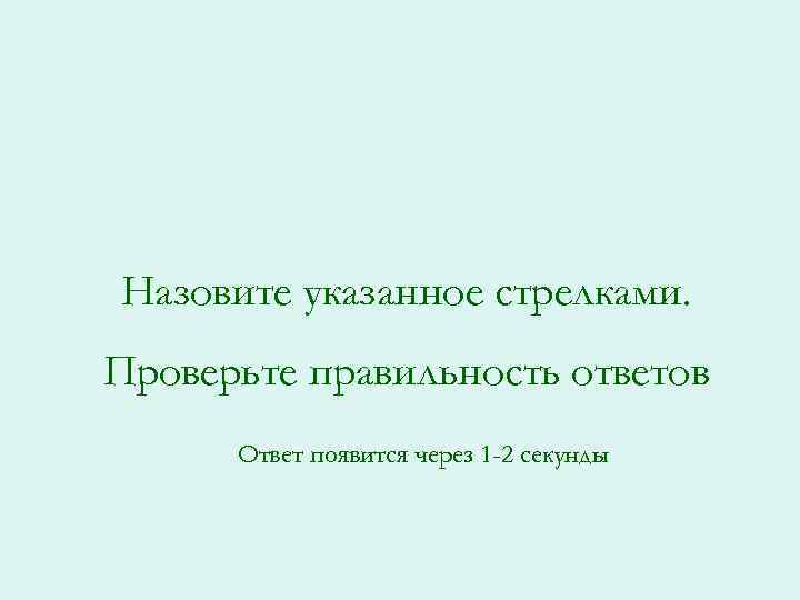 Назовите указанное стрелками. Проверьте правильность ответов Ответ появится через 1 -2 секунды 