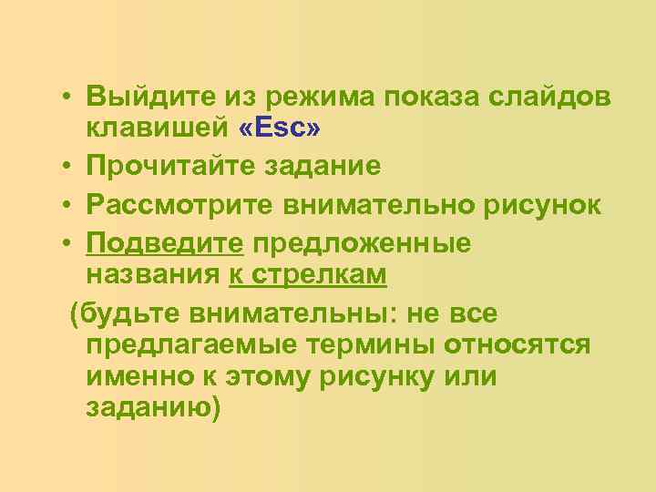  • Выйдите из режима показа слайдов клавишей «Esc» • Прочитайте задание • Рассмотрите