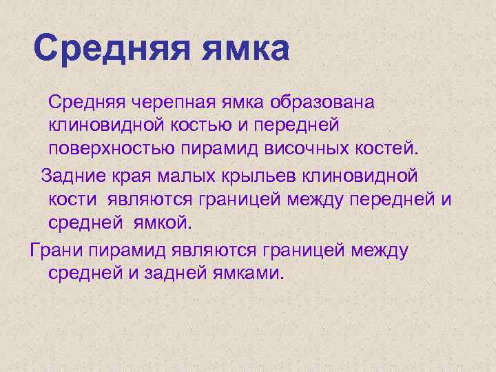 Средняя ямка Средняя черепная ямка образована клиновидной костью и передней поверхностью пирамид височных костей.