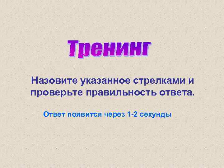 Назовите указанное стрелками и проверьте правильность ответа. Ответ появится через 1 -2 секунды 