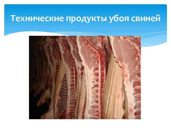 Технические продукты убоя свиней 