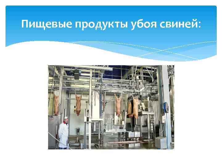 Пищевые продукты убоя свиней: 