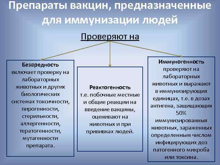 Препараты вакцин, предназначенные для иммунизации людей Проверяют на Безвредность включает проверку на лабораторных животных