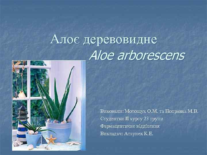 Алоє деревовидне Aloe arborescens Виконали: Мотощук О. М. та Поправка М. В. Студентки II
