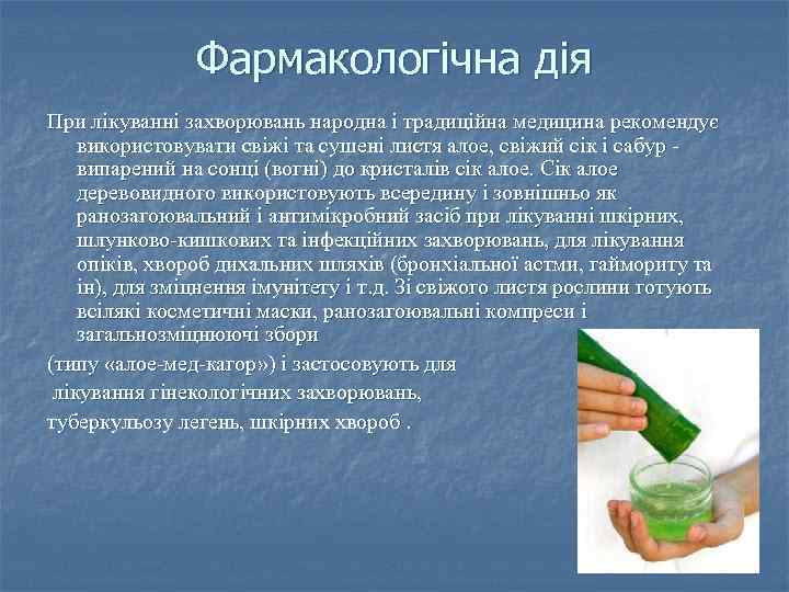 Фармакологічна дія При лікуванні захворювань народна і традиційна медицина рекомендує використовувати свіжі та сушені