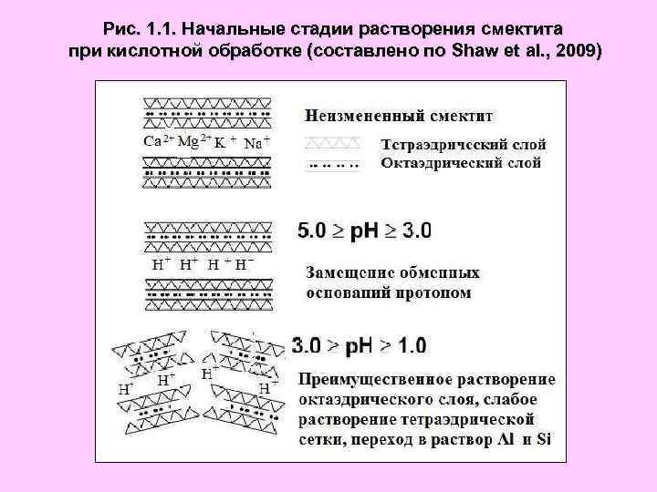 Рис. 1. 1. Начальные стадии растворения смектита при кислотной обработке (составлено по Shaw et