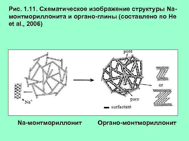 Рис. 1. 11. Схематическое изображение структуры Naмонтмориллонита и органо-глины (составлено по He et al.