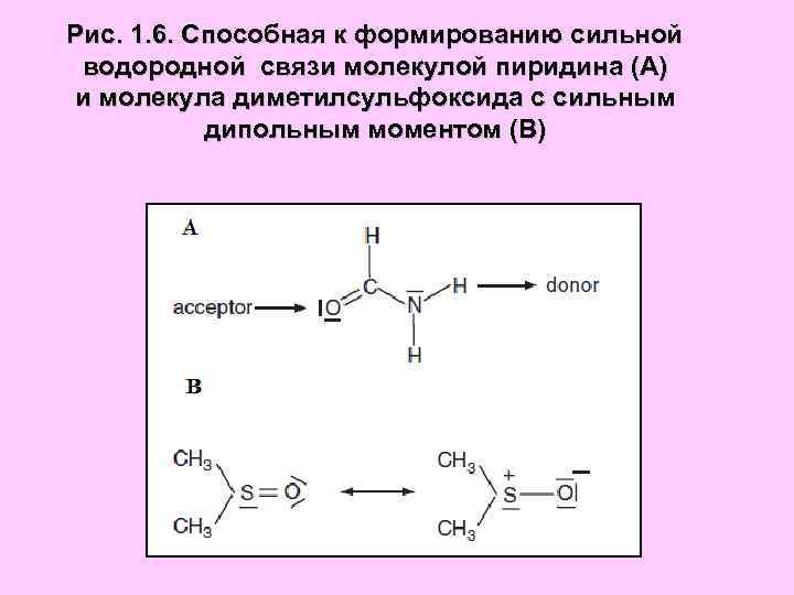 Рис. 1. 6. Способная к формированию сильной водородной связи молекулой пиридина (А) и молекула