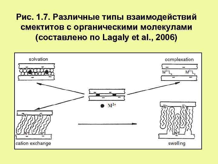 Рис. 1. 7. Различные типы взаимодействий смектитов с органическими молекулами (составлено по Lagaly et
