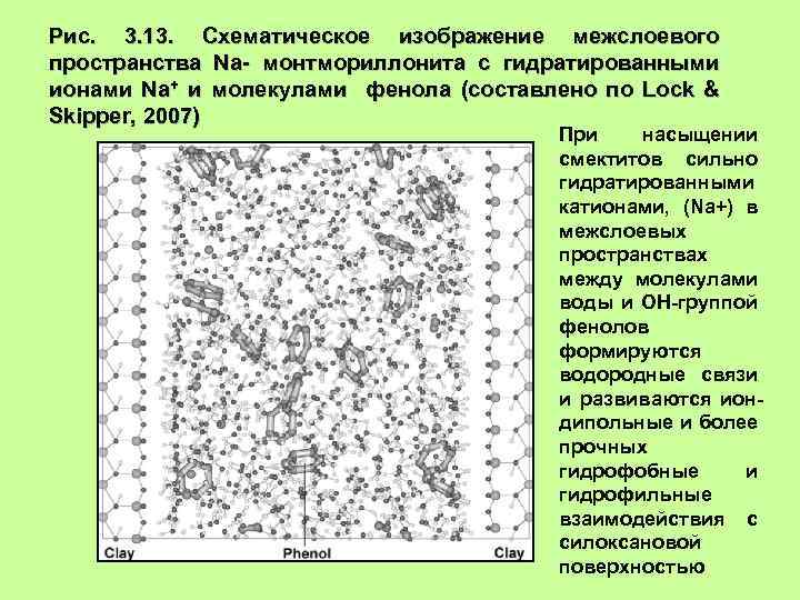 Рис. 3. 13. Схематическое изображение межслоевого пространства Na- монтмориллонита с гидратированными ионами Na+ и