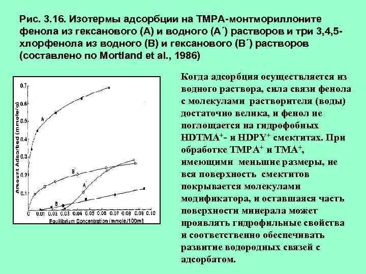 Рис. 3. 16. Изотермы адсорбции на ТМРА-монтмориллоните фенола из гексанового (А) и водного (А´)