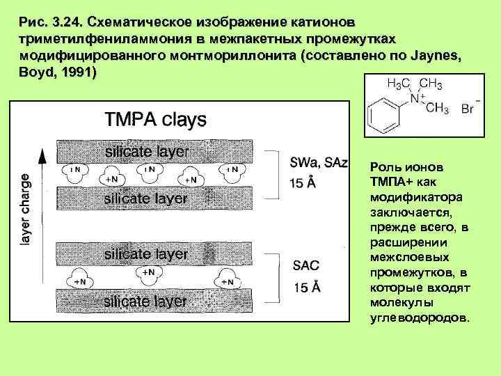 Рис. 3. 24. Схематическое изображение катионов триметилфениламмония в межпакетных промежутках модифицированного монтмориллонита (составлено по