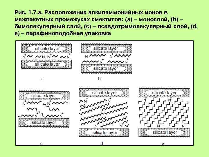 Рис. 1. 7. а. Расположение алкиламмонийных ионов в межпакетных промежуках смектитов: (a) – монослой,