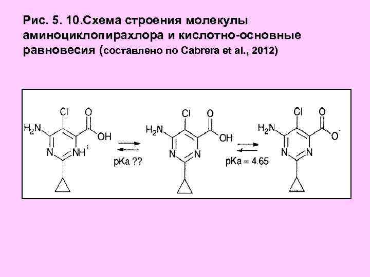 Рис. 5. 10. Схема строения молекулы аминоциклопирахлора и кислотно-основные равновесия (составлено по Cabrera et