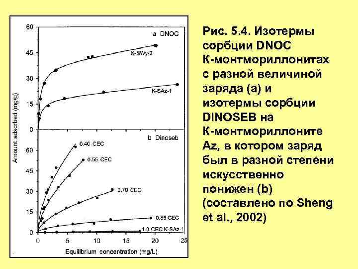 Рис. 5. 4. Изотермы сорбции DNOС К-монтмориллонитах с разной величиной заряда (а) и изотермы