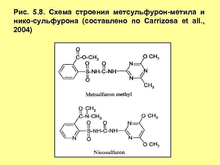 Рис. 5. 8. Схема строения метсульфурон-метила и нико-сульфурона (составлено по Carrizosa et all. ,