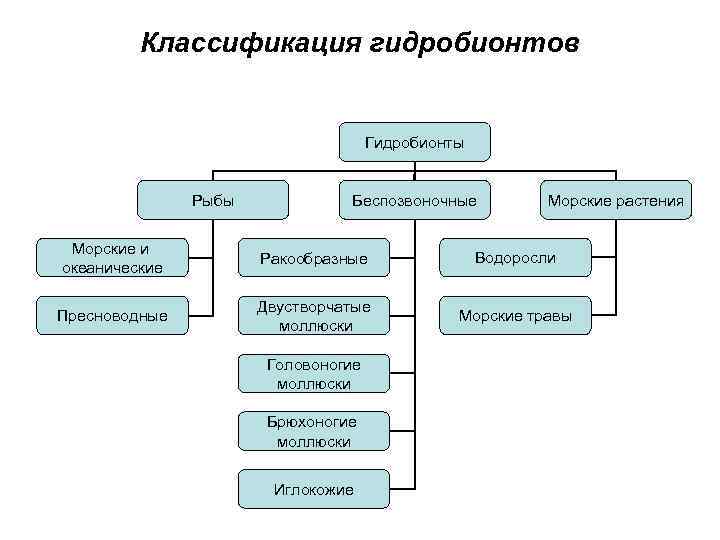 Классификация гидробионтов Гидробионты Рыбы Беспозвоночные Морские растения Морские и океанические Ракообразные Водоросли Пресноводные Двустворчатые