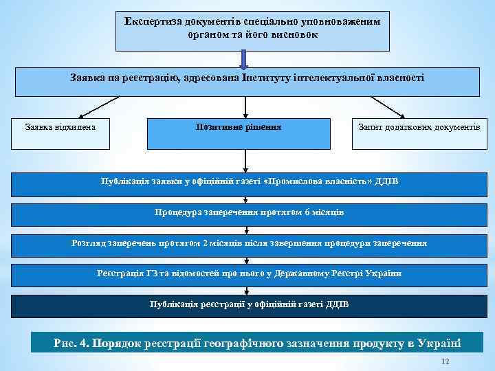 Експертиза документів спеціально уповноваженим органом та його висновок Заявка на реєстрацію, адресована Інституту інтелектуальної