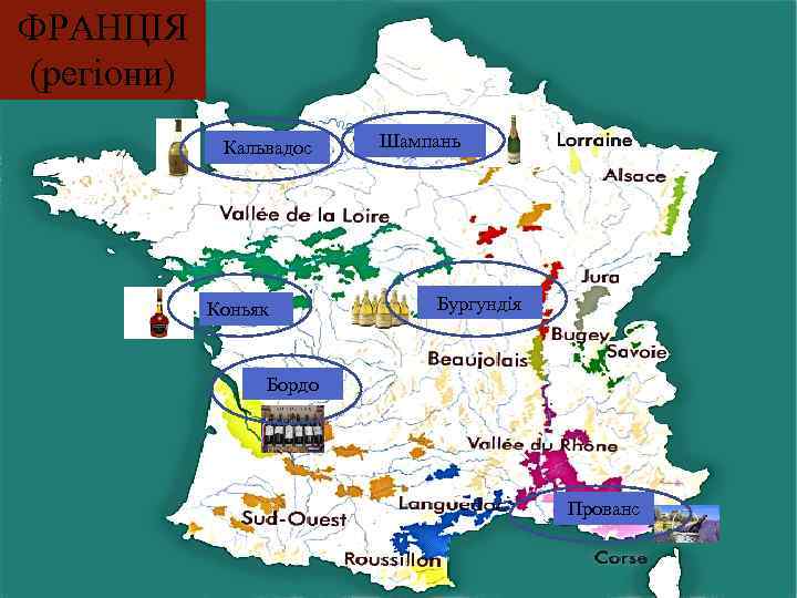 ФРАНЦІЯ (регіони) Кальвадос Шампань Бургундія Коньяк Бордо Прованс 6 