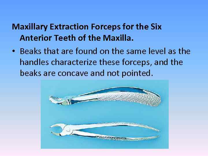 Maxillary Extraction Forceps for the Six Anterior Teeth of the Maxilla. • Beaks that