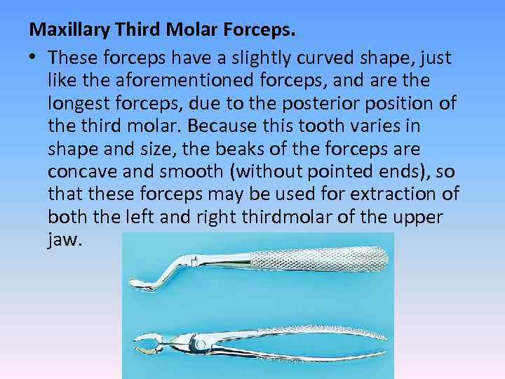 Maxillary Third Molar Forceps. • These forceps have a slightly curved shape, just like
