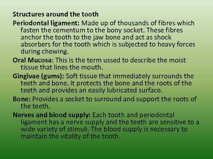 Structures around the tooth Periodontal ligament: Made up of thousands of fibres which fasten