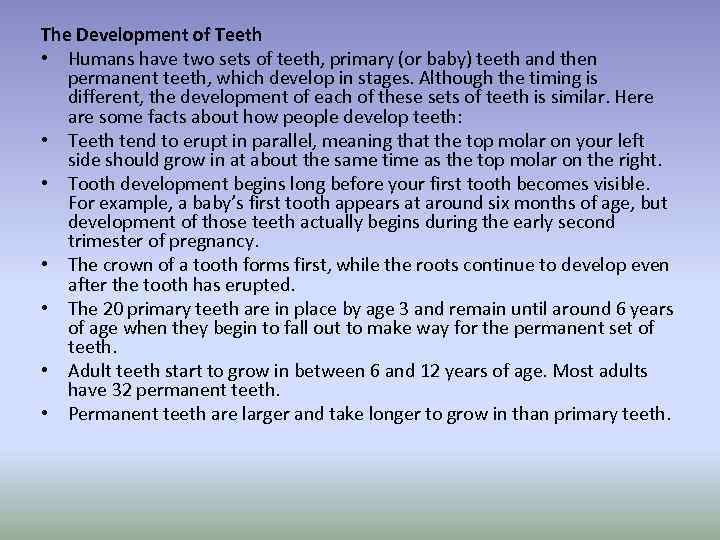 The Development of Teeth • Humans have two sets of teeth, primary (or baby)